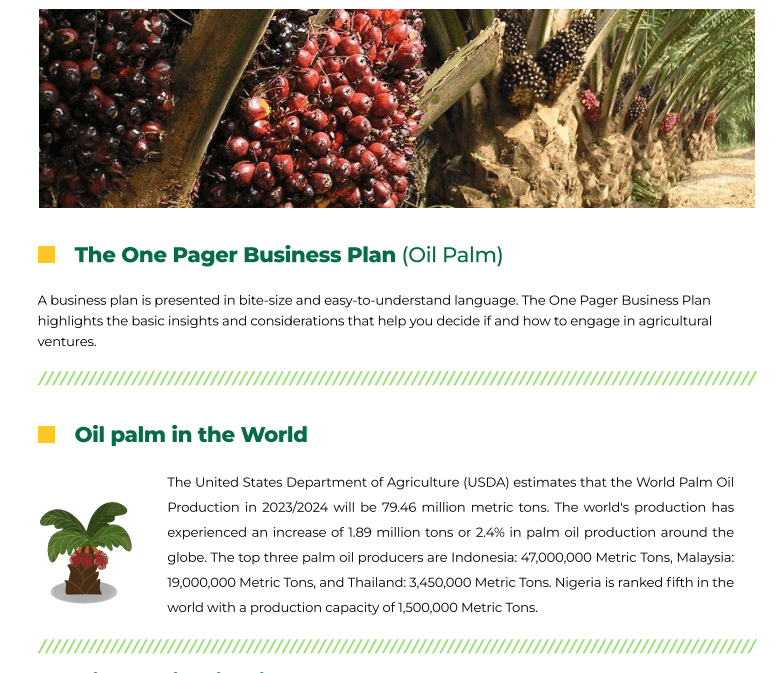 Oil Palm