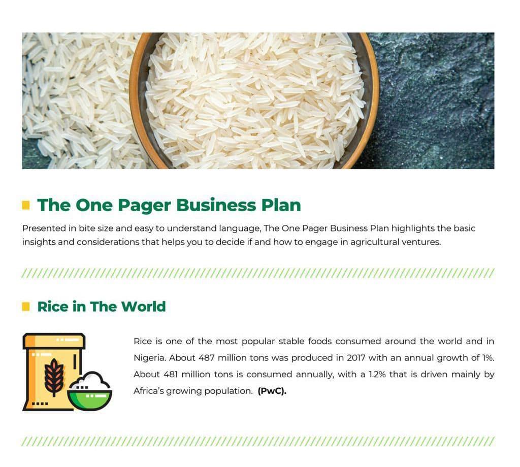 Rice