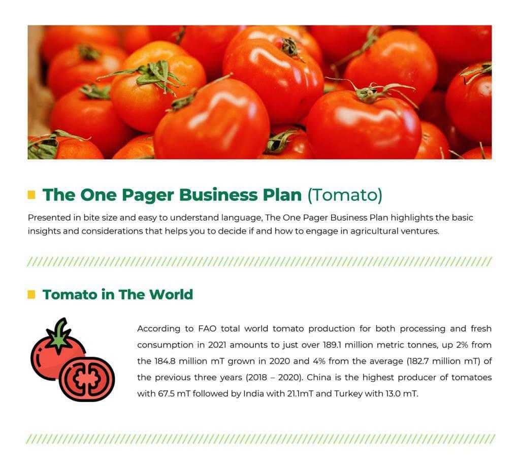 Tomato