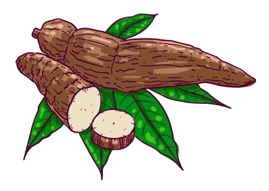 Soybean
